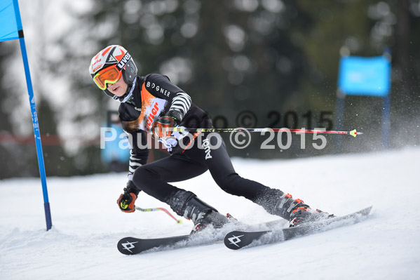 4. Zienercup WF 2015