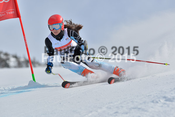 DSV Schülercup U16 X 2015
