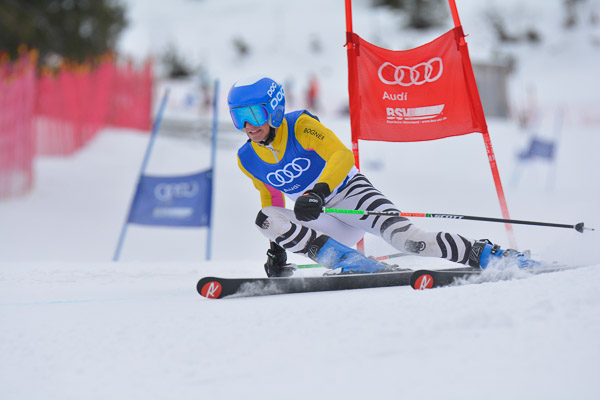FIS NJC RS Herren 2015