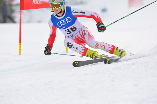 FIS NJC RS Herren 2015