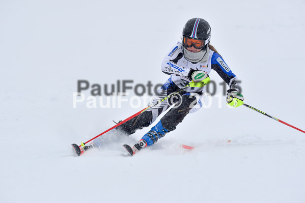 DSV Schülercup U16 XI 2015