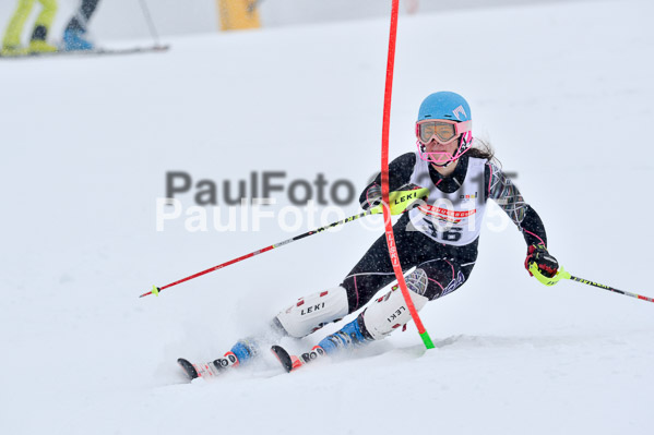 DSV Schülercup U16 XI 2015