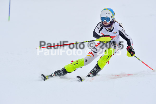 DSV Schülercup U16 XI 2015