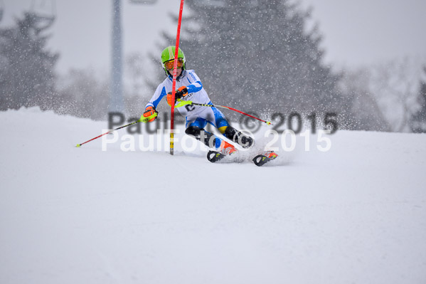 8. BZB Cup Werdenfelser Meisterschaft 2015 SL