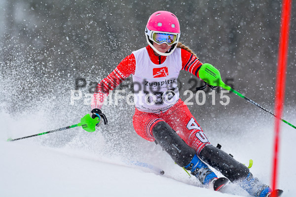 8. BZB Cup Werdenfelser Meisterschaft 2015 SL