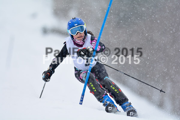 8. BZB Cup Werdenfelser Meisterschaft 2015 SL