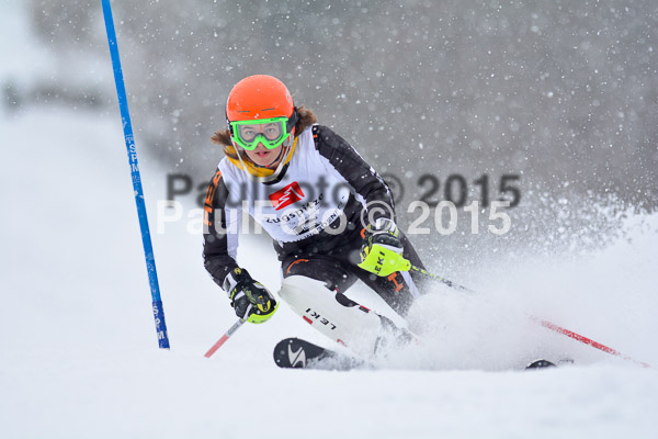 8. BZB Cup Werdenfelser Meisterschaft 2015 SL