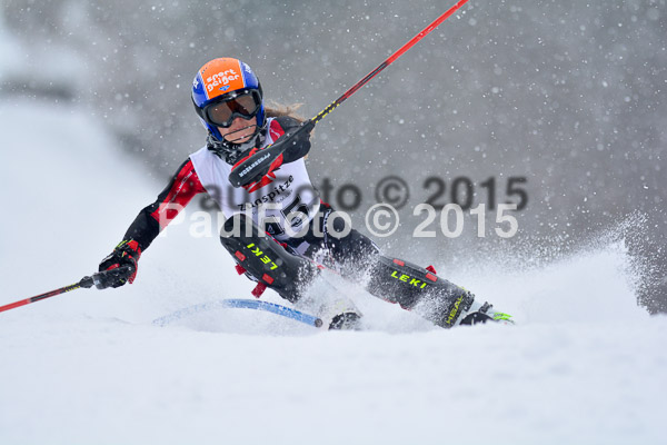 8. BZB Cup Werdenfelser Meisterschaft 2015 SL