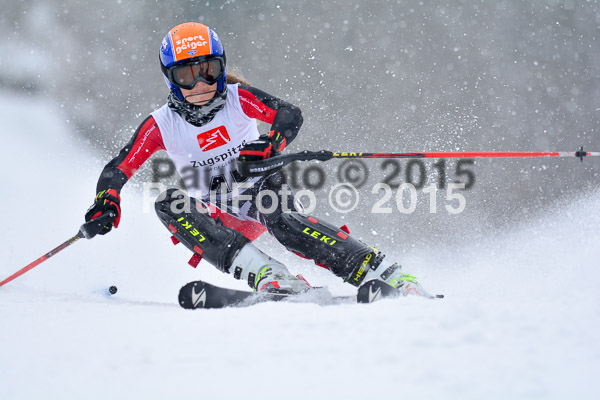 8. BZB Cup Werdenfelser Meisterschaft 2015 SL