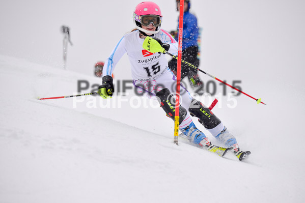 8. BZB Cup Werdenfelser Meisterschaft 2015 SL