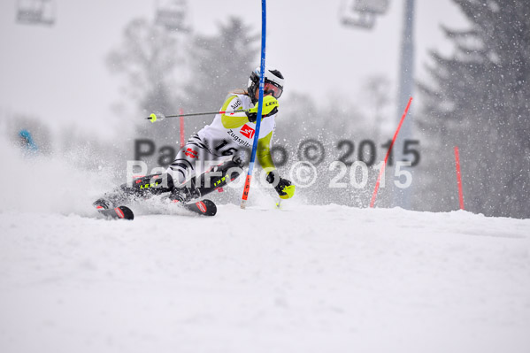 8. BZB Cup Werdenfelser Meisterschaft 2015 SL
