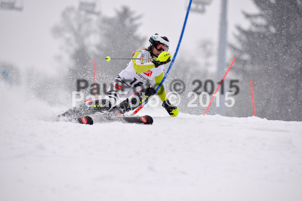 8. BZB Cup Werdenfelser Meisterschaft 2015 SL