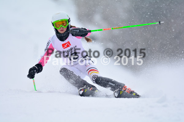 8. BZB Cup Werdenfelser Meisterschaft 2015 SL