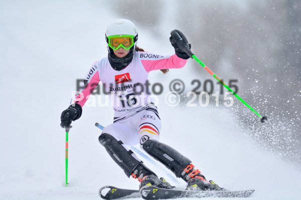 8. BZB Cup Werdenfelser Meisterschaft 2015 SL