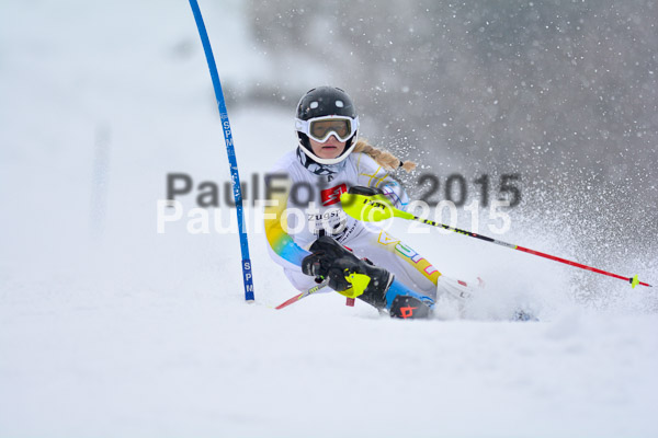8. BZB Cup Werdenfelser Meisterschaft 2015 SL