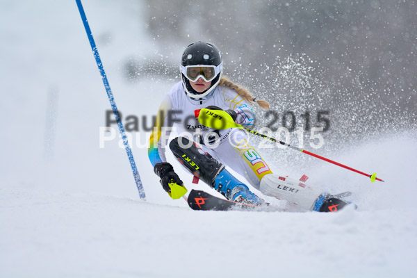 8. BZB Cup Werdenfelser Meisterschaft 2015 SL