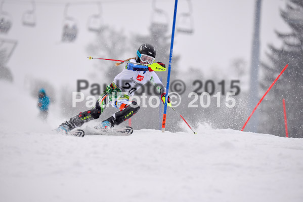 8. BZB Cup Werdenfelser Meisterschaft 2015 SL