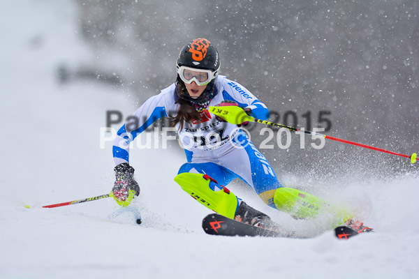 8. BZB Cup Werdenfelser Meisterschaft 2015 SL