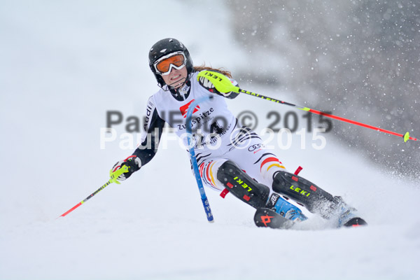 8. BZB Cup Werdenfelser Meisterschaft 2015 SL