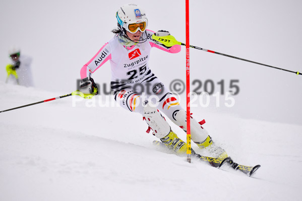 8. BZB Cup Werdenfelser Meisterschaft 2015 SL