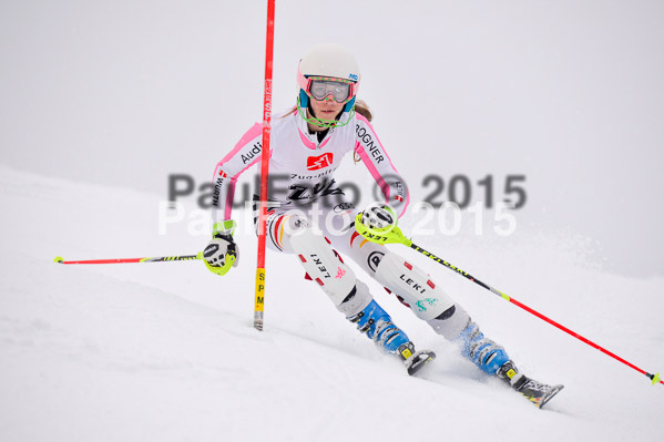 8. BZB Cup Werdenfelser Meisterschaft 2015 SL