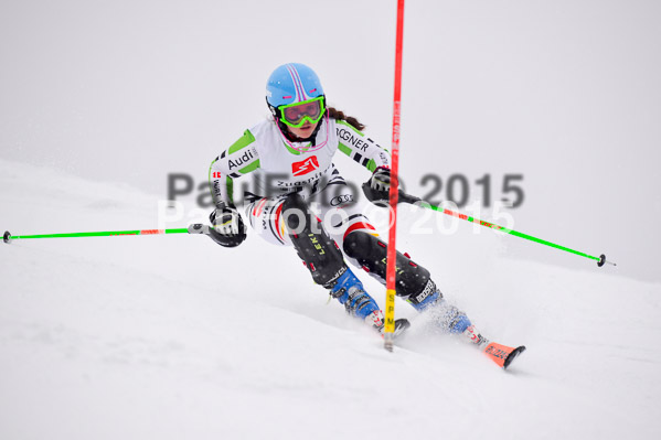 8. BZB Cup Werdenfelser Meisterschaft 2015 SL