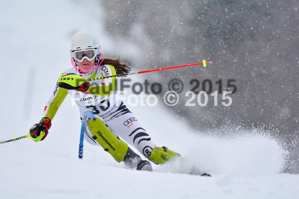 8. BZB Cup Werdenfelser Meisterschaft 2015 SL