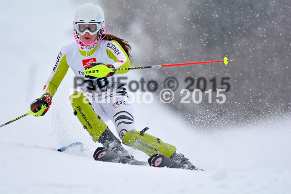 8. BZB Cup Werdenfelser Meisterschaft 2015 SL