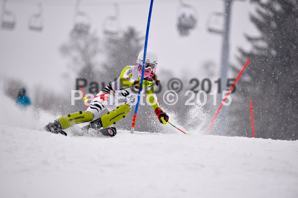 8. BZB Cup Werdenfelser Meisterschaft 2015 SL