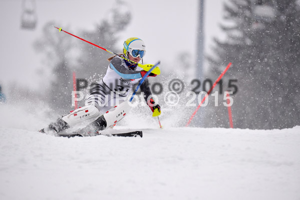 8. BZB Cup Werdenfelser Meisterschaft 2015 SL