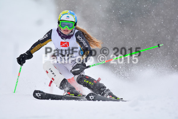 8. BZB Cup Werdenfelser Meisterschaft 2015 SL