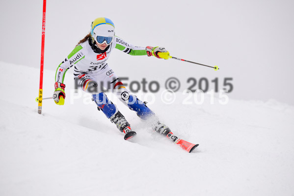 8. BZB Cup Werdenfelser Meisterschaft 2015 SL