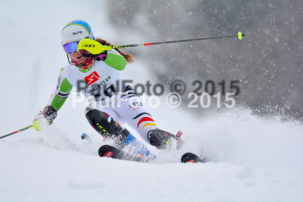 8. BZB Cup Werdenfelser Meisterschaft 2015 SL