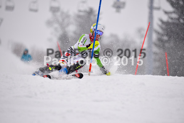 8. BZB Cup Werdenfelser Meisterschaft 2015 SL
