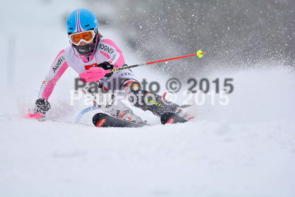 8. BZB Cup Werdenfelser Meisterschaft 2015 SL