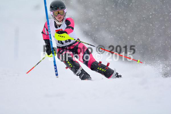 8. BZB Cup Werdenfelser Meisterschaft 2015 SL