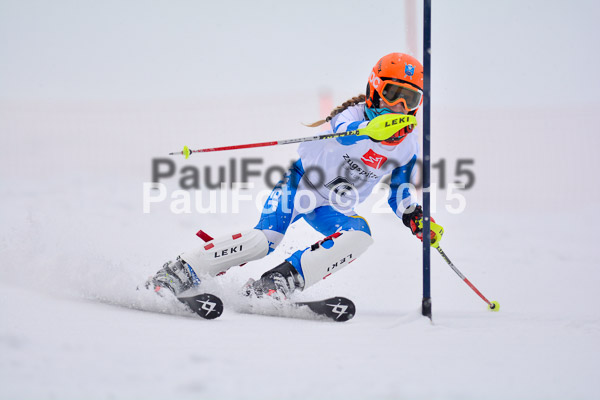 8. BZB Cup Werdenfelser Meisterschaft 2015 SL