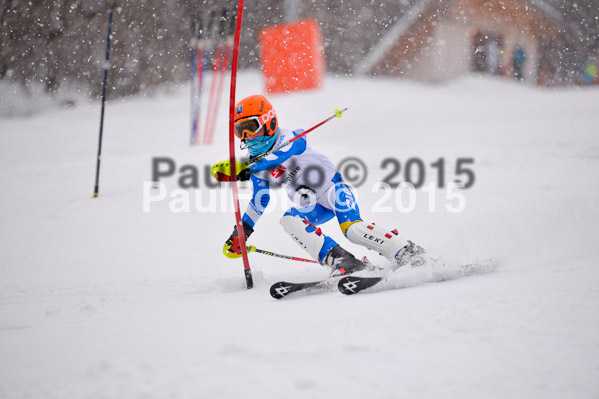 8. BZB Cup Werdenfelser Meisterschaft 2015 SL