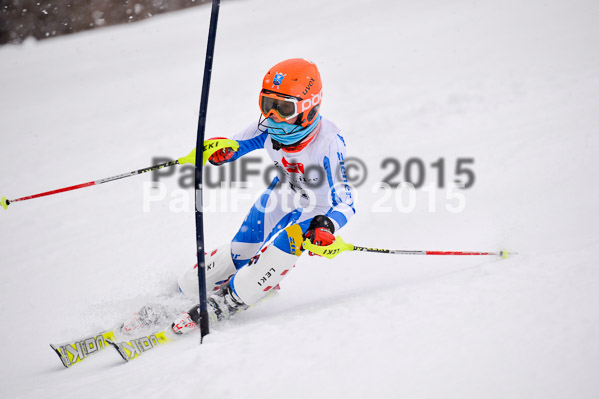 8. BZB Cup Werdenfelser Meisterschaft 2015 SL