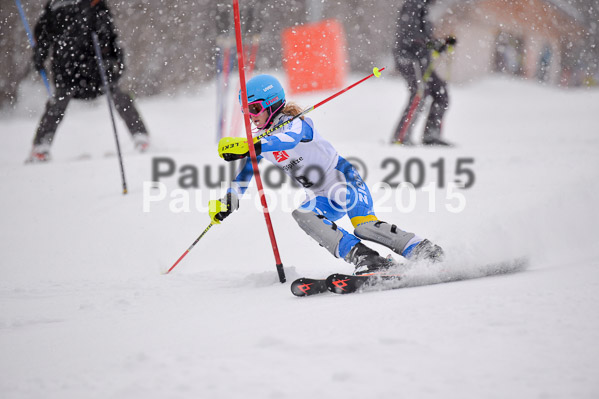 8. BZB Cup Werdenfelser Meisterschaft 2015 SL