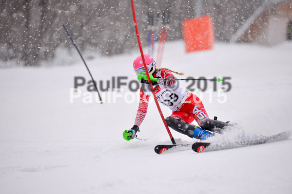 8. BZB Cup Werdenfelser Meisterschaft 2015 SL