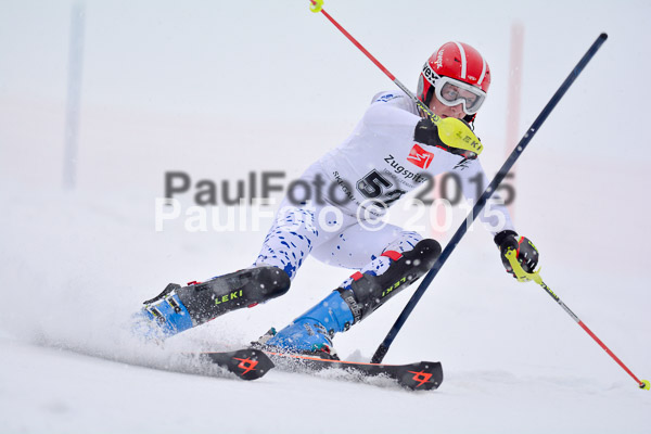 8. BZB Cup Werdenfelser Meisterschaft 2015 SL