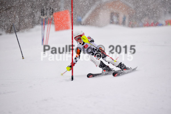 8. BZB Cup Werdenfelser Meisterschaft 2015 SL