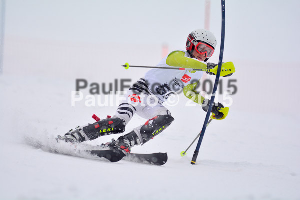 8. BZB Cup Werdenfelser Meisterschaft 2015 SL