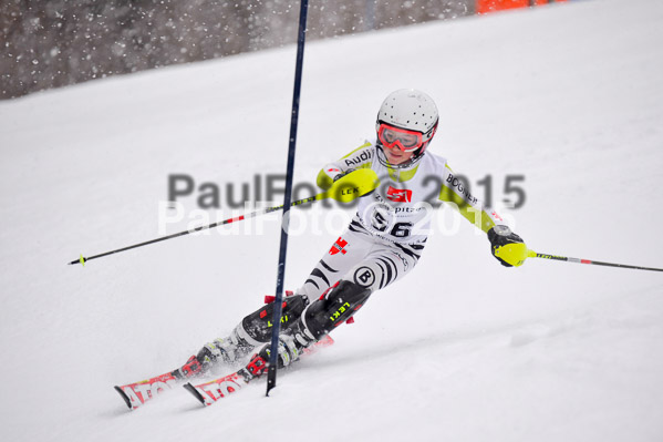 8. BZB Cup Werdenfelser Meisterschaft 2015 SL