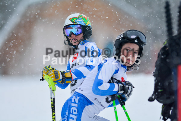 8. BZB Cup Werdenfelser Meisterschaft 2015 SL
