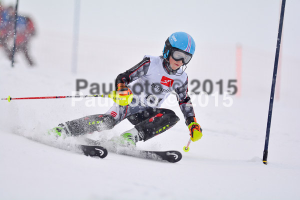 8. BZB Cup Werdenfelser Meisterschaft 2015 SL