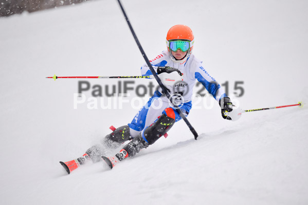 8. BZB Cup Werdenfelser Meisterschaft 2015 SL