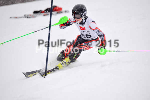 8. BZB Cup Werdenfelser Meisterschaft 2015 SL