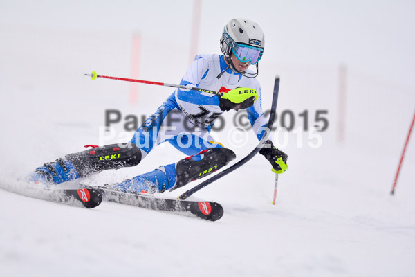 8. BZB Cup Werdenfelser Meisterschaft 2015 SL